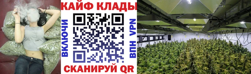Где продают наркотики Сенгилей МАРИХУАНА  Меф мяу мяу  COCAIN  Гашиш 