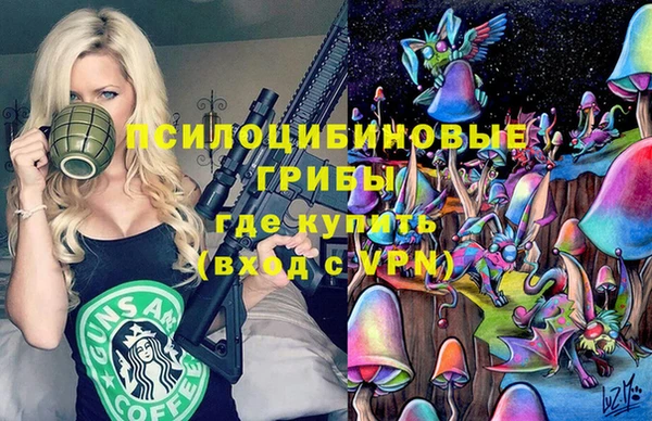 стафф Алексин