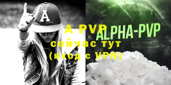 стафф Алексин