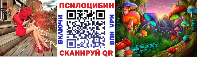 цены   Сенгилей  Псилоцибиновые грибы Magic Shrooms 